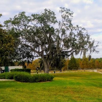 Forest Hill Community Center